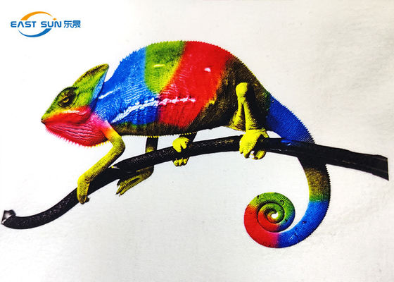 Goede prijs 600mm de Voor het drukken geschikte PET-folie van de Hitteoverdracht A3 voor de Druk van DTF Inkjet online