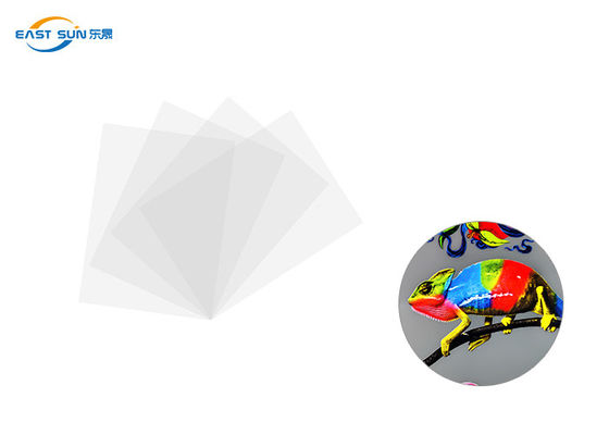 Goede prijs Conventionele Breedte 60cm 33cm 30cm DTF de Film Witte Kleur van de Hitteoverdracht online