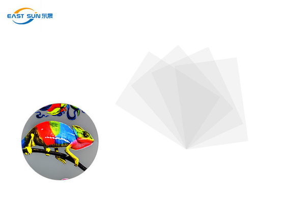 Good price De PET-folie Koude Schil 0.075mm van het A3a4 Blad DTF voor Digitale Druk online